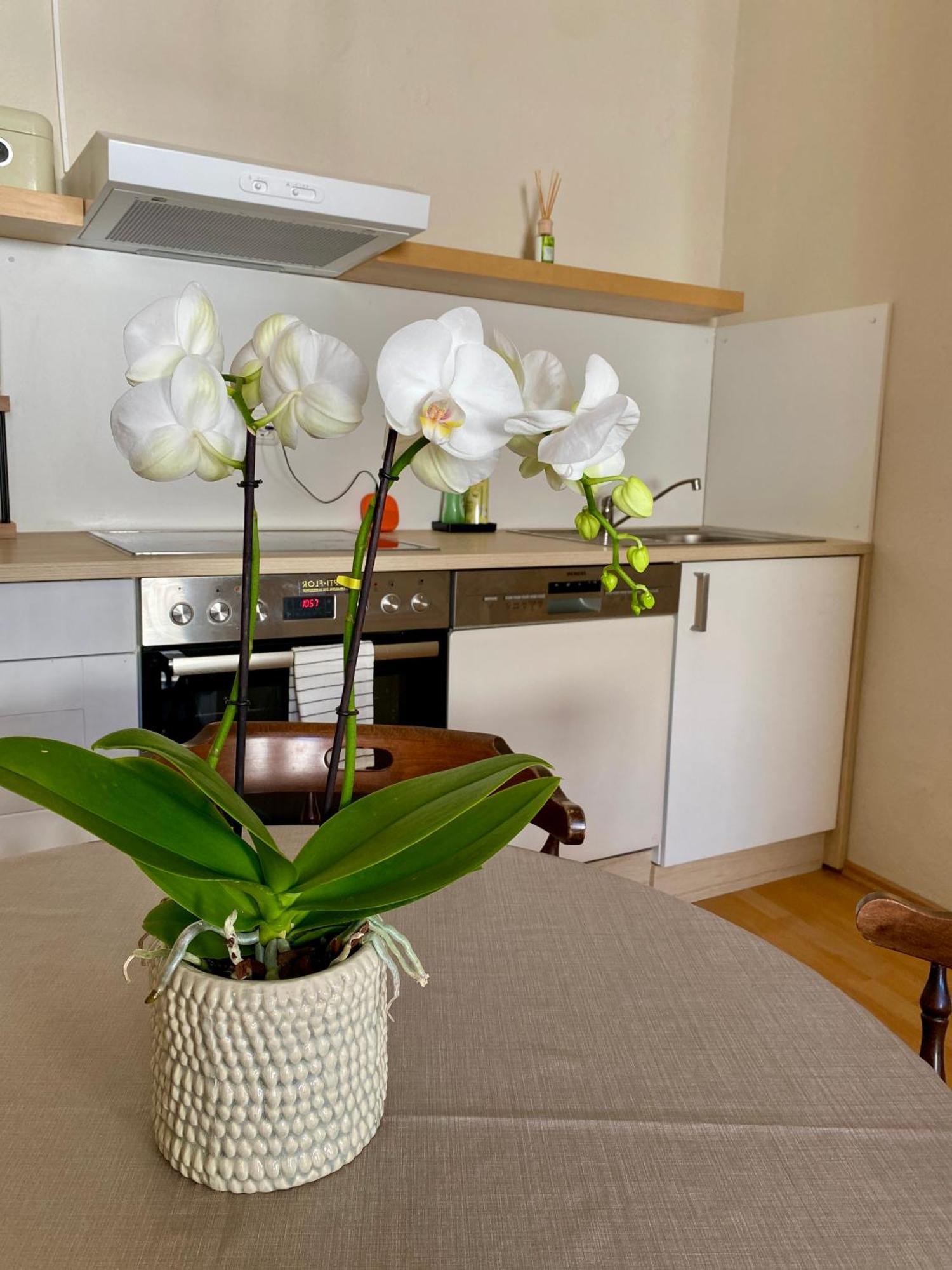 Ba Em City Apartment Wiesbaden Buitenkant foto
